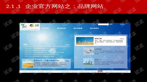 淘宝电子商务运营解决方案