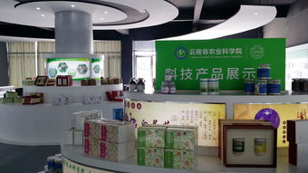 云南省农业科学院科技产品电子商务营销中心成立，开启智慧农业新篇章