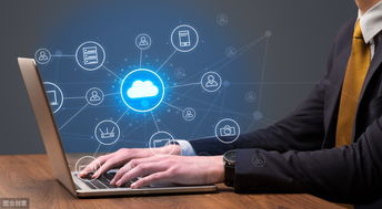 农产品电子商务发展 机遇、挑战与经营策略探讨