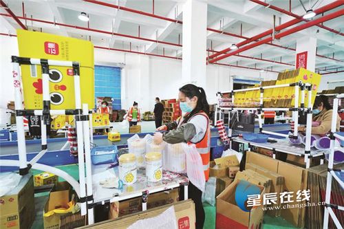 长沙县全力稳住外贸基本盘 一季度新增外贸资质企业143家